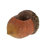 Non-brand ヘーゼルナッツ樹脂多肉植物植物ポットフラワーコンテナホームハーブプランター