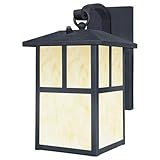 Westinghouse 6482900 Nova Scotia One-Light Outdoor Wall Lantern with Dusk to Dawn Sensor Textured Bl
