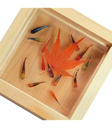 Amazon.co.jp: 樹脂金魚 アクリルアート 「煌」 ハンドメイド 手作り
