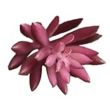 Kicode フェイク多肉植物 Unpotted ビニール人工多肉 人工植物 偽の多肉植物フラワーアレンジメントクラフトメイキング