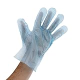 ブルーポリグローブ – Large 500カウント