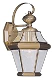 Livex Lighting 2161-01 Georgetown 1-Light Outdoor Wall Lantern, Antique Brass [並行輸入品]
