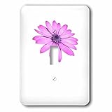 Taiche – Photography – Daisy – SingleピンクAfrican Daisy Isolated – 照明スイッチカバー – シングルトグルスイッチ( LSP _ 2431
