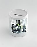お金ボックスwith Pots、植物、サボテン、多肉植物、シェルフ