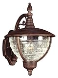 Special Lite Products Vista F-2911-CP/CR Medium Top Mount Light, Copper [並行輸入品]