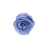 florever　フロールエバー　フレッシュルックメディアナローズ　ラベンダーブルー　8輪　Φ4～5cm　 プリザーブドフラワー　Mediana Rose　Lavender Blue
