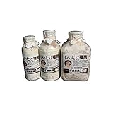 肉厚で良質タイプ!　しいたけ種菌　1000ヶ入駒菌