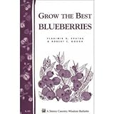 Grow the Best Blueberries おもちゃ (並行輸入)