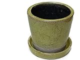 Color glazed pot カラフル　テラコッタポット　植木鉢　CH13-G476LGN