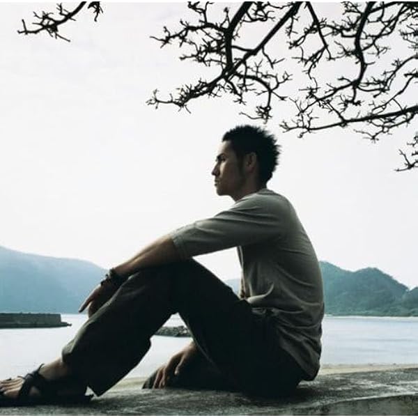 Amazon.co.jp: ベストカバーズ~もっと日本。~ - 中孝介: ミュージック