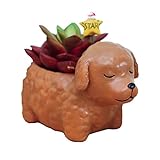 かわいい犬の形の家の装飾 たにくしょくぶつの花瓶の花のポットサボテンの植物のポットのデスクトップフラワーポットミニ盆栽のポット (プードルブラウン)