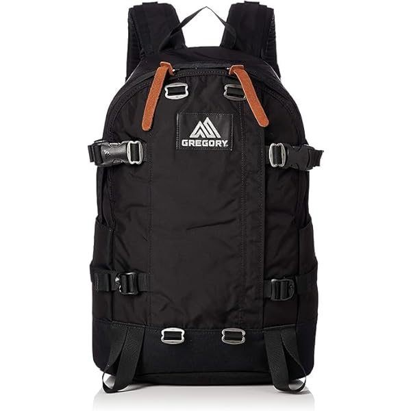 GREGORY リュック　ブラック Amazon.co.jp: [グレゴリー] リュック 24L メンズ クラシック