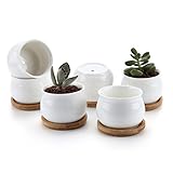 T4U 7CM 陶器鉢 白 ジャーシェイプデザイン 植木鉢 多肉植物 サボテン鉢 花鉢 容器 プランター 6個入り