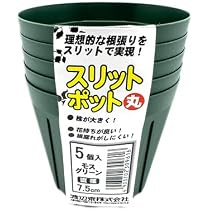 Amazon | 渡辺泰 スリットポット5個入 丸 7.5cm 外寸75×底寸55×高さ 