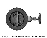 チャッキバルブ１０ＦＷＺ 規格( 100A(4") 入数(1)