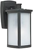 Maxim Lighting Bronze 3252FSBZ Terrace [並行輸入品]