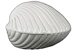 Urban Trends Collection 39716 4 Piece Ceramic Gloss White Seashell Figurine, 6.25 x 5.75 x 3.50 in.