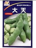 大天そら豆 みかど協和のソラマメ品種です