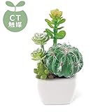 SUCCULENT REFRERIUM(サキュレントリフレリウム) DEODORANT ARTIFICIAL GREEN 消臭アーティフィシャルグリーン KH-60984