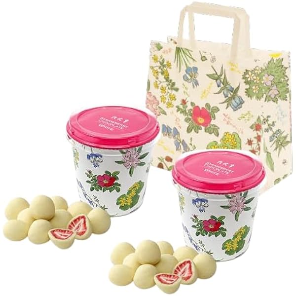 苺②白❷ちょこさん専用 ふるさと納税】白いちご DX 約1kg (250g×4P)【2026年1月上旬発送