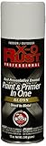 General Paint & Manufacturing XOP-1 X-O Rust Professional Rust Preventative Paint and Primer in One 
