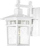 Nuvo Nuvo60/4957 Cove Neck 1-Light Outdoor Lantern with Clear Seed Glass, 14 by Nuvo