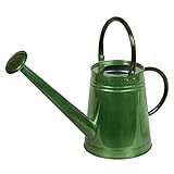 東洋石創　プラントアイテム　Waterring　Can　ジョウロ　　●81531 グリーン