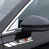 RALLI ART ステッカー ボディ フェンダー ドア サイド ガラス サイドスカート エンブレム 防水 耐熱 傷を隠す 外観を向上させる カッコいい (ぎんはく)
