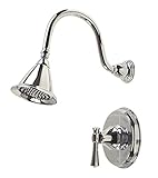Premier 120074 Torino Single-Handle Shower Faucet, Chrome [並行輸入品]