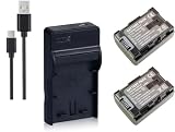 NinoLite 4点セット BN-VG109 / BN-VG114 互換 バッテリー2個 +USB型 充電器 +海外用交換プラグ 、日本 ビクター JVC 対応 dc96bnvg114x2