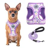 BEAUTYZOO 犬用ハーネス リードセット 小型犬 中型犬 大型犬対応 引っ張り防止 調節可能 通気性メッシュ 軽量 反射材付き 簡単着脱 抜けない 快適 おしゃれ 散歩 訓練 老犬介護 歩行補助 夏用 チェック柄 ペット用品