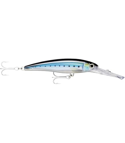 Amazon.co.jp: ラパラ(Rapala) エックスラップマグナム XR30MAG-HDSFU