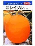 レイソルメロン　みかど協和の黄色皮メロン種です
