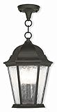 Livex Lighting 75469-14 Textured Black Outdoor Semi-Flush Mount with Clear Water Glass [並行輸入品]