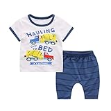 ツバメ--屋　ベビー服 赤ちゃん 男の子 キッズ Tシャツ ズボン セットアップ 子供 可愛い 春夏 カジュアル お出かけ 出産祝い (100, A)