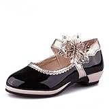 RoRykon 子供 フォーマル シューズ キッズ ドレス 靴 女の子 プリンセス 結婚式 フラワーガール 発表会 演奏会 入園式 入学式 卒園式 卒業式 誕生日 お呼ばれ 七五三 パーティー オール