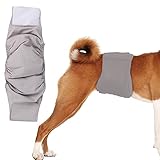 KUVEELA PET 犬用マナーベルト 雄犬用おむつ 犬用オムツカバー 男の子 お散歩 お外出 室内 おでかけ 介護 発情期 通気性 吸水性良い 再利用可能（グレー L）