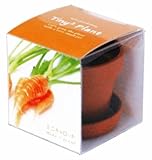 タイニィタイニィプラント ミニキャロット