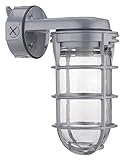 Lithonia Lighting VW150I M12 150W Incandescent Utility Vapor Tight Wall Mount Fixture, Grey [並行輸入品]