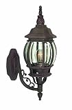 Woodbridge Lighting 61001-RTP Basic 1-Light Outdoor Wall Sconce, Powder Coat Rust [並行輸入品]