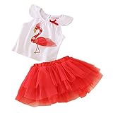 LittleSpringベビー女の子スカートセットLittle Bird US サイズ: 24M