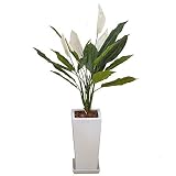 人工観葉植物 スパティフィラム 陶器鉢植え