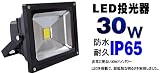 TOPWOOD製　LED投光器30w　2台セット　作業灯 集魚灯 看板灯 倉庫照明 店舗照明照明器具6000ケルビン昼白色