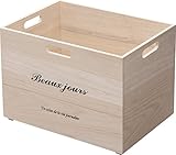 AZUMAYA ナチュラルボックスL SSB-13NA ナチュラル