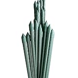国華園 イボ付鋼管製支柱スーパー 直径11mm・長さ90cm 200本１組 グリーン 園芸支柱 家庭菜園 イボ竹