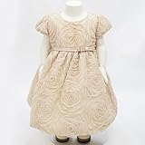 (アリサナ) arisanaバラ刺繍が魅力的なローズチュールレースベビードレス ベビー 90cm【L】 シャンパン