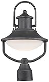 Minka Lavery 8136-173-L Crest Ridge LED Outdoor Lantern, Forged Silver Finish by Minka Lavery