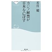 カジノ解禁が日本を亡ぼす（祥伝社新書２５５）