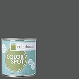 Inspired Eggshell Interior Colorspot Paint Sample, Metal .05, 8-oz [並行輸入品]
