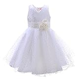Pettigirl子供ドレス スパンコール ベビー フラワードレス チュール パーティー 結婚式 140 [並行輸入品]